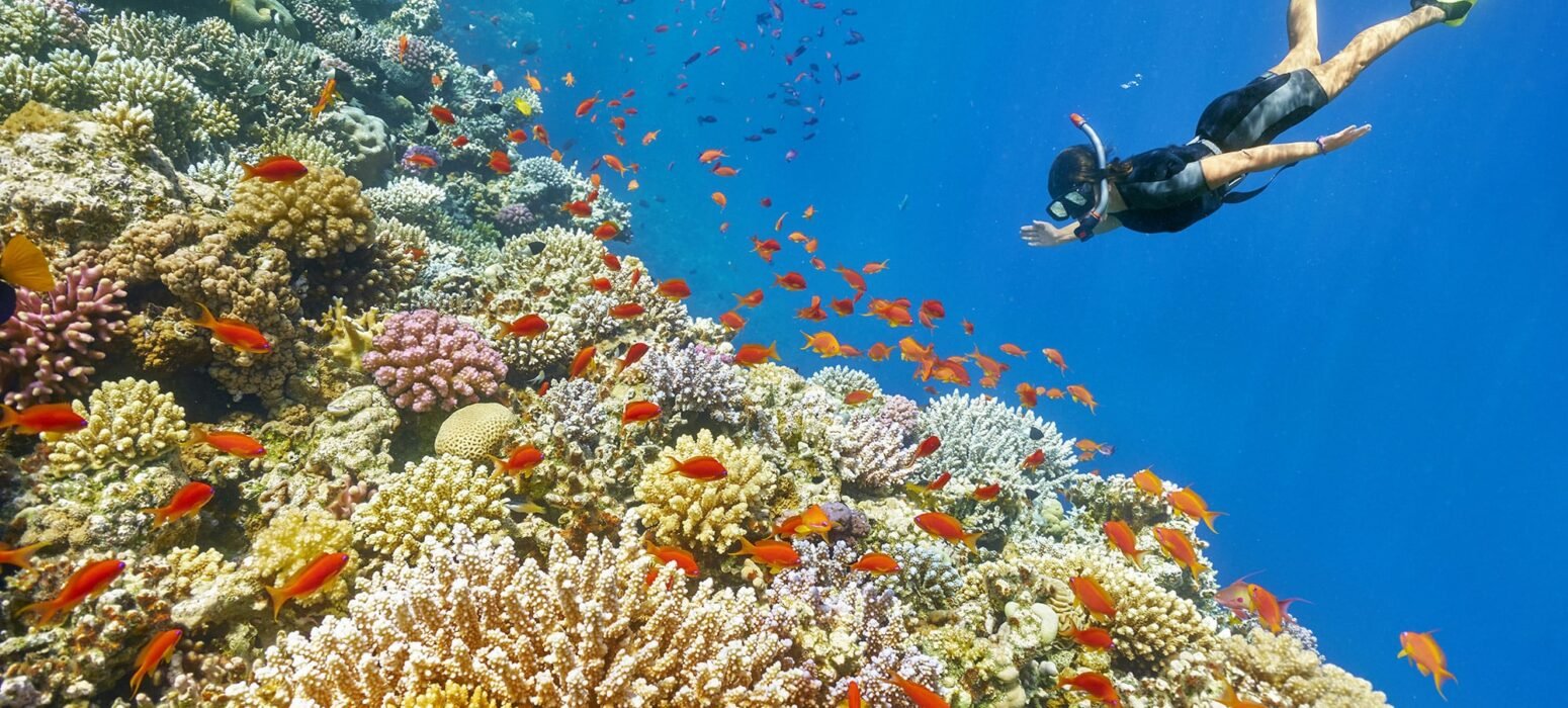 shutterstock_289528415